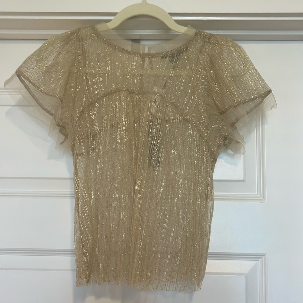 Sheer Anthropologie Top